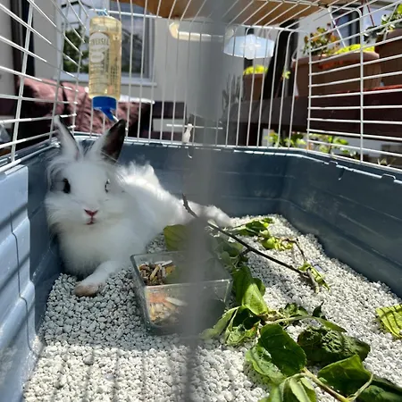 Aron بيت ضيافة